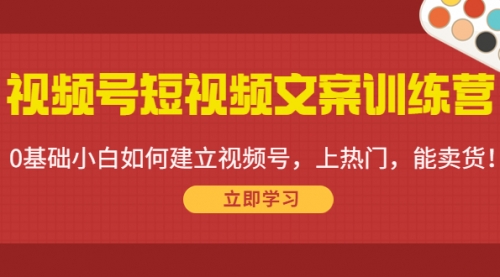 视频号短视频文案训练营：0基础小白如何建立视频号，上热门，能卖货！
