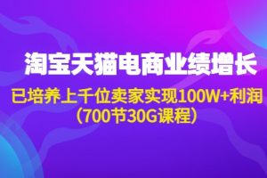 全套淘系天猫电商业绩增长：已培养上千位卖家实现100W+利润（700节30G课程）