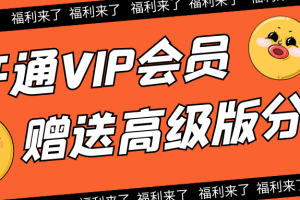 开通本站VIP送分销站高级版分站