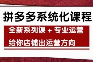 车神陪跑，拼多多系统化课程，全新系列课+专业运营给你店铺出运营方向