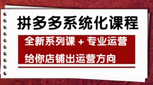 车神陪跑，拼多多系统化课程，全新系列课+专业运营给你店铺出运营方向