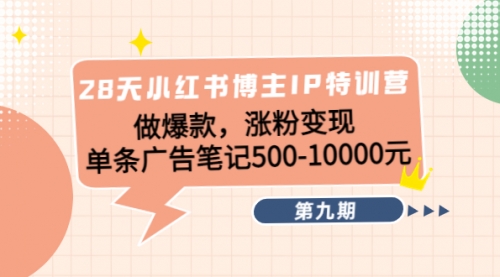 当天快速涨粉：小红书博主IP特训营《第9期》做爆款涨粉