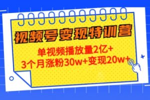 20天视频号变现特训营：单视频播放量2亿+3个月涨粉