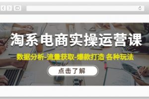 淘系电商实操运营课：数据分析-流量获取-爆款打造 各种玩法（63节）