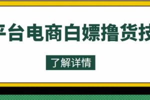 外面收费2980的全平台电商白嫖撸货技术，想要的商品随便撸，轻松月入过万