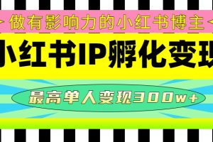 [小红书] 某收费培训-小红书IP孵化变现：做有影响力的小红书博主，最高单人变现300w+