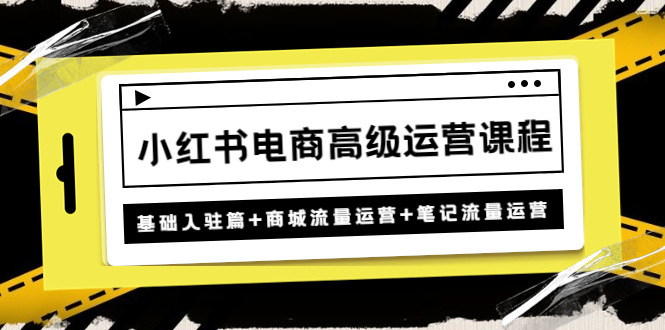 小红书电商高级运营课程:基础入驻篇+商城流量运营+笔记流量运营 小红书电商高级运营课程:基础入驻篇+商城流量运营+笔记流量运营