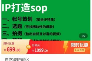 自然流IP训练营，系统掌握IP孵化全流程，也能学到选题，剪辑，账号运营经验