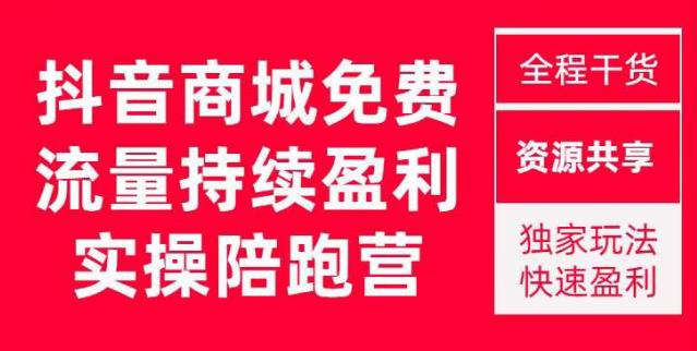 抖音商城免费搜索流量实战营:0-1独家快速引流快速盈利玩法、干货分享 抖音商城免费搜索流量实战营:0-1独家快速引流快速盈利玩法、干货分享