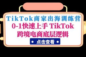 TikTok商家出海训练营:0-1快速上手 TikTok跨境电商底层逻辑