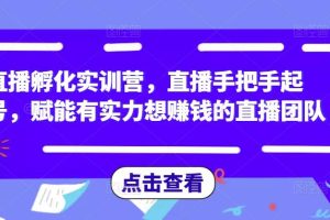直播起号孵化特训营：直播手把手0粉起号 提升直播团队赚钱能力