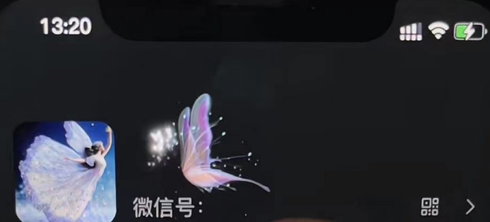 微信动态昵称设置方法,可抖音直播引流,日赚上百【详细视频教程+素材】 微信动态昵称设置方法,可抖音直播引流,日赚上百【详细视频教程+素材】