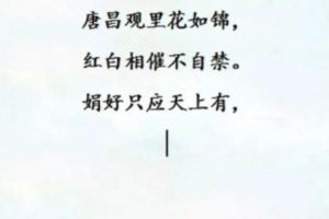 [网赚项目] 月入万元的虚拟信息差项目