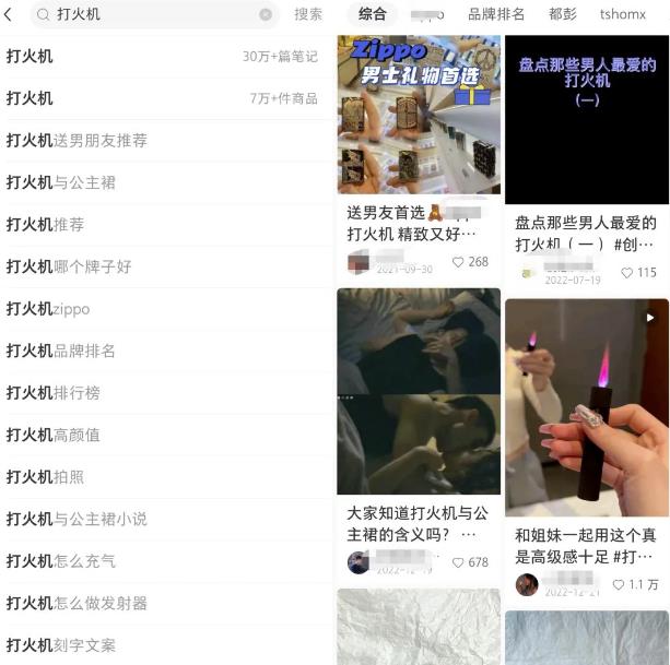 [网赚项目] 小红书电商无货源项目思路，从开店到选品的一些玩法