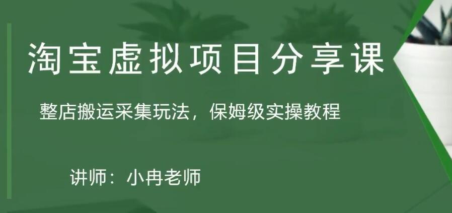 （1981期）淘宝虚拟整店搬运采集玩法分享课：整店搬运采集玩法，保姆级实操教程
