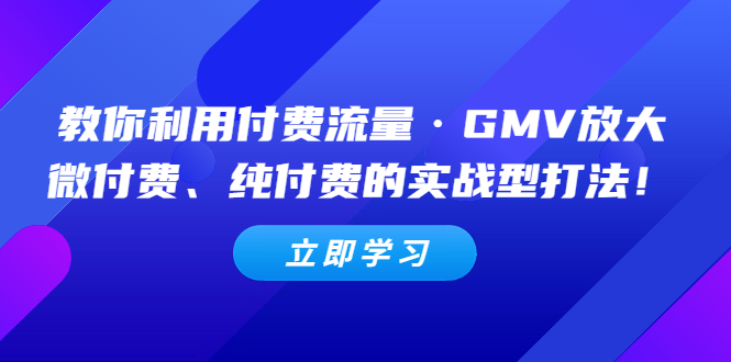 （1998期）教你利用付费流量·GMV放大，微付费、纯付费的实战型打法！