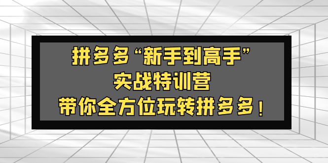 (2057期)拼多多“新手到高手”实战特训营:带你全方位玩转拼多多! (2057期)拼多多“新手到高手”实战特训营:带你全方位玩转拼多多!