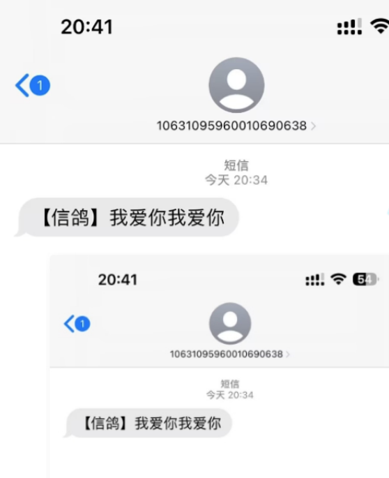 （2138期）冷门月入过万的匿名短信项目搭建教程【网站源码+网站搭建视频教程】