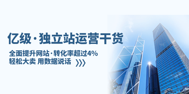 （2146期）亿级·独立站运营干货：全面提升网站·转化率超过4%，轻松大卖 用数据说话