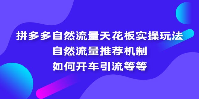 (2187期)拼多多自然流量天花板实操玩法:自然流量推荐机制,如何开车引流等等 (2187期)拼多多自然流量天花板实操玩法:自然流量推荐机制,如何开车引流等等