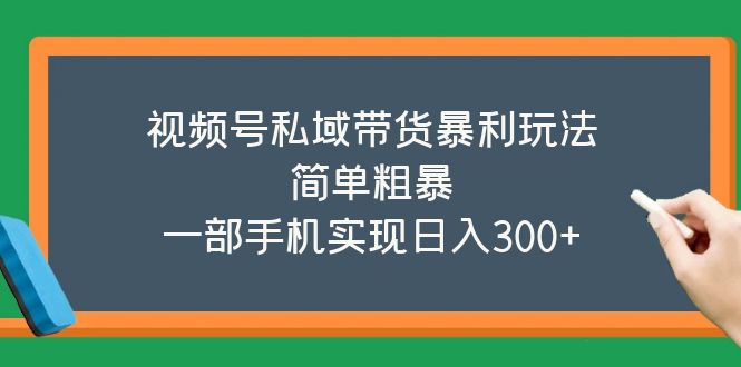 （2350期）视频号私域带货暴利玩法，简单粗暴，一部手机实现日入300+