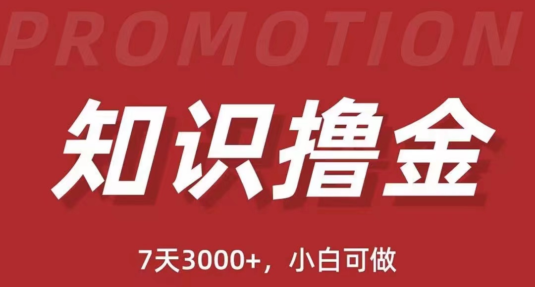 (2432期)抖音知识撸金项目:简单粗暴日入1000+执行力强当天见收益(教程+资料) (2432期)抖音知识撸金项目:简单粗暴日入1000+执行力强当天见收益(教程+资料)