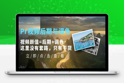 （2435期）Pr视频后期与调色，视频颜值=后期+调色，这里没有套路，只有干货！