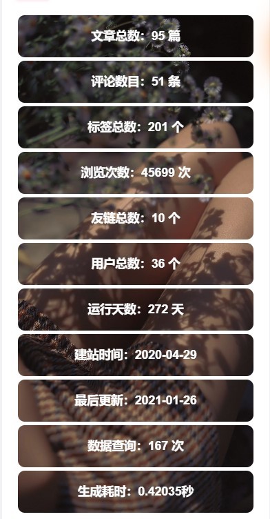 WordPress侧边栏信息统计小工具[WP小工具]