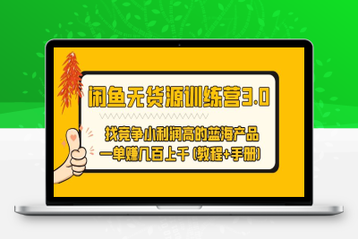（2492期）闲鱼无货源训练营3.0 找竞争小利润高的蓝海产品 一单赚几百上千(教程+手册)