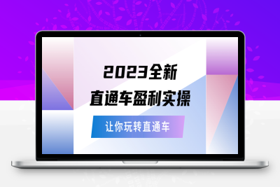 （2513期）2023全新直通车·盈利实操：从底层，策略到搭建，让你玩转直通车