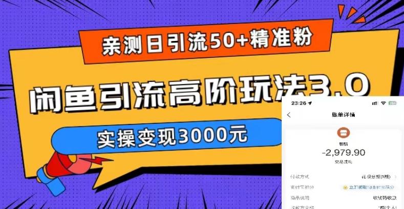 （2537期）实测日引50+精准粉，闲鱼引流高阶玩法3.0，实操变现3000元