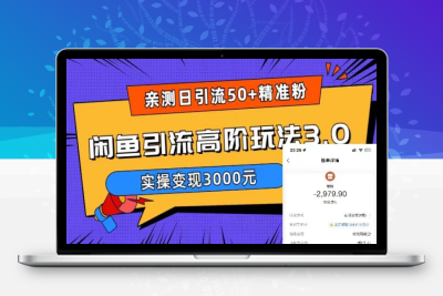 （2537期）实测日引50+精准粉，闲鱼引流高阶玩法3.0，实操变现3000元