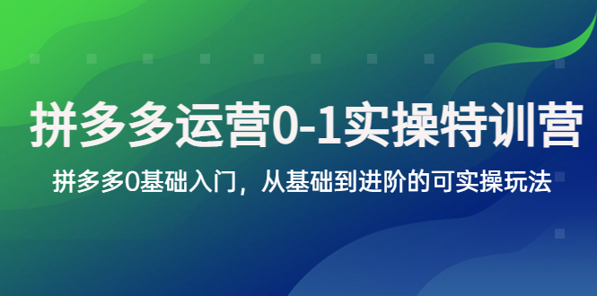 (2545期)拼多多-运营0-1实操训练营,拼多多0基础入门,从基础到进阶的可实操玩法 (2545期)拼多多-运营0-1实操训练营,拼多多0基础入门,从基础到进阶的可实操玩法
