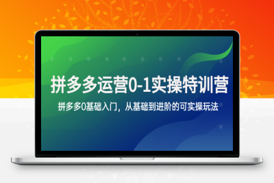 （2545期）拼多多-运营0-1实操训练营，拼多多0基础入门，从基础到进阶的可实操玩法