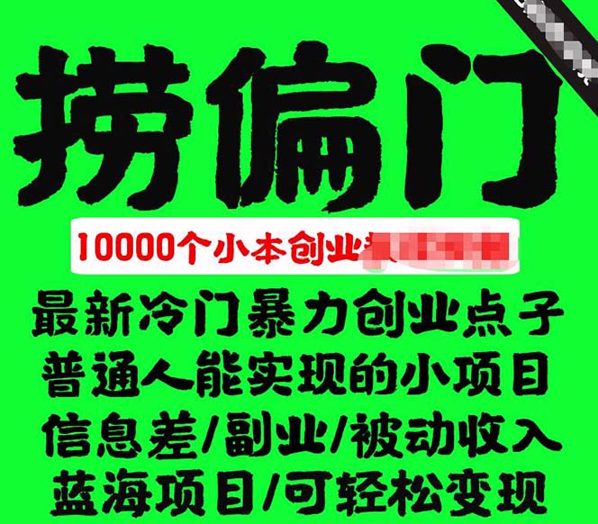 （2548期）千款捞偏门小本创业小项目，总有一款适合你【无水印】