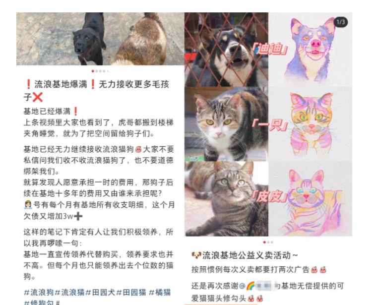 （2641期）小红书蓝海类赛道：小动物打赏与购买变现副业项目，一条龙玩法分享给你！