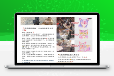 （2641期）小红书蓝海类赛道：小动物打赏与购买变现副业项目，一条龙玩法分享给你！