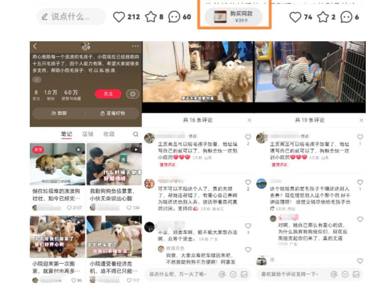 （2641期）小红书蓝海类赛道：小动物打赏与购买变现副业项目，一条龙玩法分享给你！