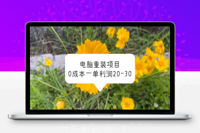 （2653期）电脑系统重装项目，0成本一单利润20-30
