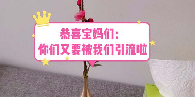 （2659期）恭喜宝妈们：你们又要被我们引流了（教程+222g资料）