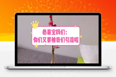 （2659期）恭喜宝妈们：你们又要被我们引流了（教程+222g资料）