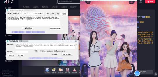 （2669期）最新电脑版抖音/快手/B站直播源获取+直播间实时录制+直播转播【软件+教程】